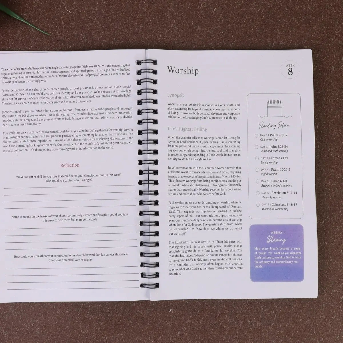 The Bible in 52 Weeks for Women, 52-Week Spiral Binding Bible Study Guide, Spiritual Growth Inspirational Devotional Book, Includes Prayer and Reflection Pages, Structured Plan, Workbook