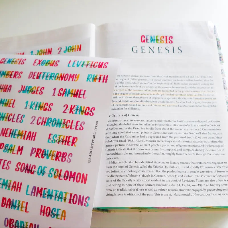 Books of the Bible Header Clear Vinyl Sticker Labels Easy To See Personalization Adhesive for Bible Collection