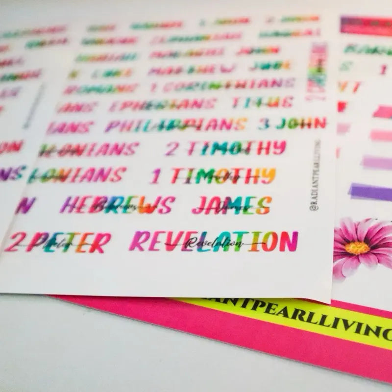 Books of the Bible Header Clear Vinyl Sticker Labels Easy To See Personalization Adhesive for Bible Collection