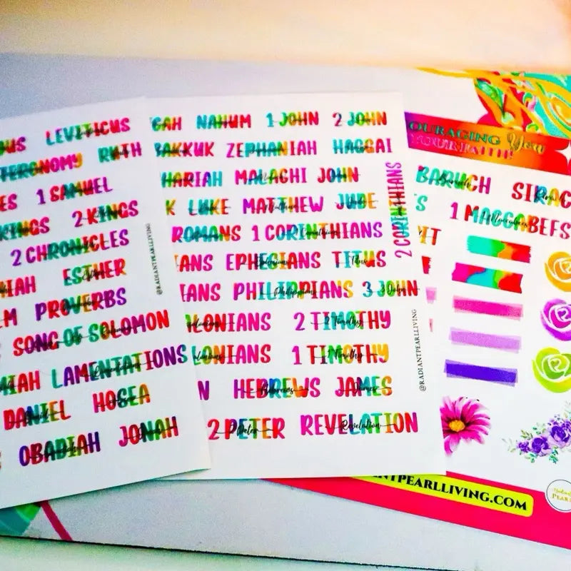Books of the Bible Header Clear Vinyl Sticker Labels Easy To See Personalization Adhesive for Bible Collection